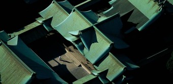 meiji-jingu-yann-arthus-bertrand-japon