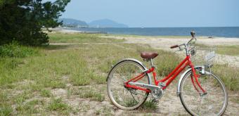 Amanohashidate, pin, plage de sable blanc et vélo en été
