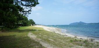 Amanohashidate, pin et plage de sable blanc en été