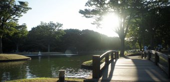 Parc Yoyogi à Tokyo, Pont de bois traversant un cours d'eau