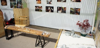 jardin-japonais-acclimatation-paris-6