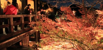 Kiyomizu-dera, light-up en période de momiji 5