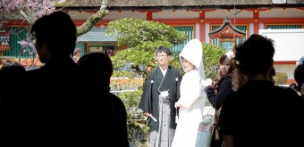 Kamigamo (Kyoto), cérémonie de mariage traditionnel shinto au sanctuaire
