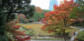 Koishikawa Korakuen (Tokyo) en automne 8