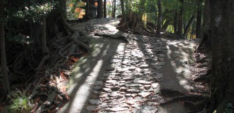 Hikone, Allée pavée du château