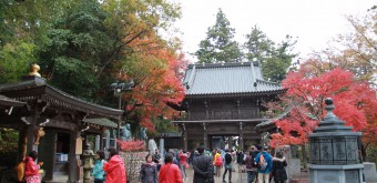 Mont Takao (Tokyo), Temple Yakuo-in en automne