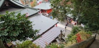 Mont Takao (Tokyo), Temple Yakuo-in en automne 2