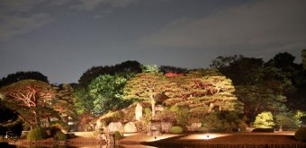 Rikugi-en (Tokyo), vue d'ensemble sur le light-up des momiji en automne 2