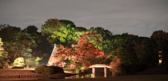 Rikugi-en (Tokyo), vue d'ensemble sur le light-up des momiji en automne 3