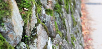 Parc de Minoh (Osaka), Détail des murs de pierre au bord du chemin