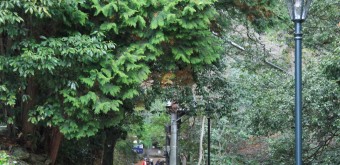 Parc de Minoh (Osaka), Chemin de randonnée