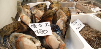 Marché aux poissons de Tsukiji, Coquillages et crustacés