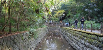 Vallée Todoroki (Tokyo), sentier pédestre au bord de l'eau 4