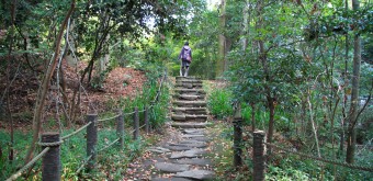 Vallée Todoroki (Tokyo), sentier pédestre au bord de l'eau 3