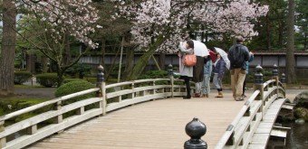Jardin Kenrokuen à Kanazawa, Pont de bois au printemps
