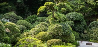 Temple Hokoku-ji à Kamakura, Jardin du temple 3