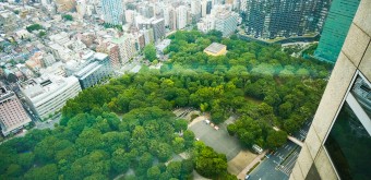 Shinjuku Observation 5