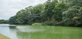 Parc Ohori (Fukuoka)