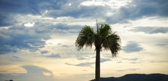 Seaside Momochi (Fukuoka), Vue sur la plage au coucher du soleil 2