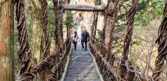 Vallée d'Iya (Shikoku), Pont Oku-Iya Kazurabashi 2