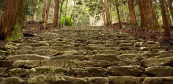 Takao (Kyoto), temple Kozan-ji et escalier en pierre dans la forêt de cèdres