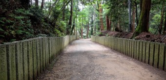 Shoshazan Engyoji, allée du temple dans la forêt