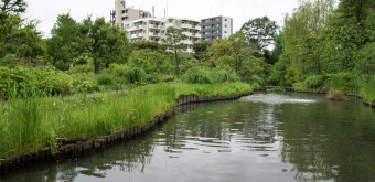 Mukojima Hyakka-en (Tokyo), Vue sur l'étang 2