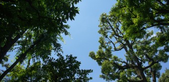 Villa Kyu Asakura à Shibuya, Vue sur le ciel