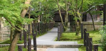 Eikan-do (Kyoto), allée bordée d'érables verts 2