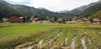Shirakawa-go, Vue sur les rizières et les maisons aux toits de chaume