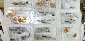 Susukino Sapporo Yuki Matsuri 5