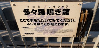 Baguettes tatara nakiryu sur la route cyclable Shimanami Kaido