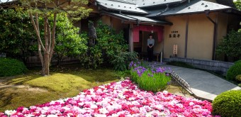 Yushi-en, Arrangement floral de pivoines 4