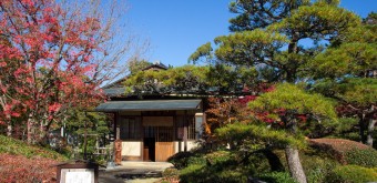 Parc Chateau Sunpu 7