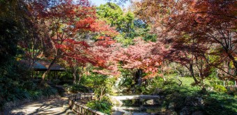 Parc du château de Hamamatsu (Shizuoka) 3