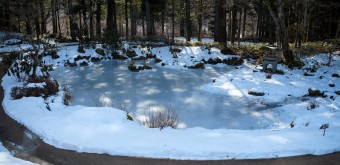 Villa Impériale Tamozawa à Nikko, Vue sur le jardin en hiver 3