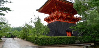 Tour Syoro du Ninna-ji (Kyoto)