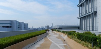 Toit-terrasse au-dessus du marché de gros à Toyosu