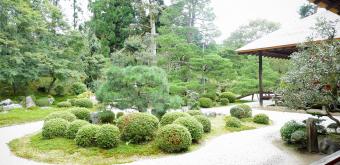 Manshu-in (Kyoto), jardin sec en été vu du Koshoin