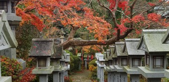 Chogosonshi-ji (Shigisan) de jour (Nara) 4