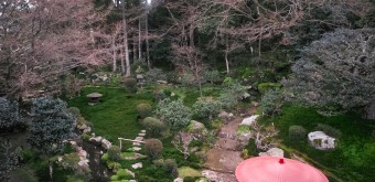 Jardin japonais Zen du Kyuchikurin-in à Otsu 2