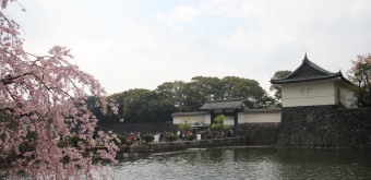 Vue sur Inui-dori depuis Kokyo Higashi Gyoen