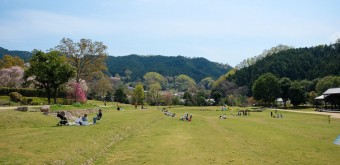 Site historique autour du Kofun Ishibutai à Asuka au printemps (Nara) 2