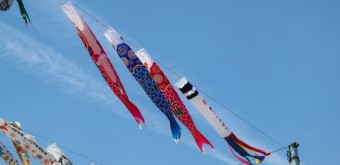 Takatsuki (Osaka), cerf-volants koi nobori au-dessus de la rivière Akuta au parc Akutagawa Sakurazutsumi 7