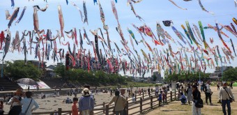 Takatsuki (Osaka), cerf-volants koi nobori au-dessus de la rivière Akuta au parc Akutagawa Sakurazutsumi 6