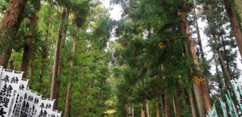 Kumano Hongu Taisha, entrée du sanctuaire et grand escalier en pierre