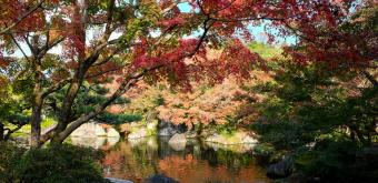Koko-en, jardin de la résidence du seigneur, cascade et érables rouges en novembre