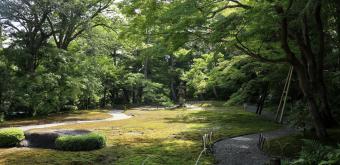 Yoshiki-en (Nara), jardin de mousses