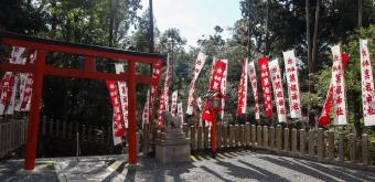 Yoshida-jinja (Kyoto), Torii et allée du sanctuaire 3