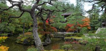 Ginkaku-ji, Etang, pavillon Kannon-den Ginkaku et cône Kogetsudai en automne